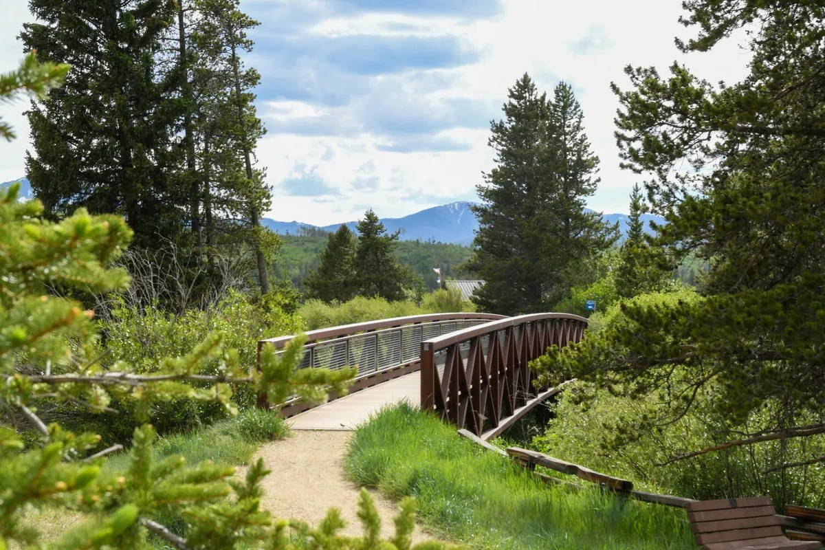 A tranquil wooden bridge stretches across a lush, green landscape, with dense trees and a breathtaking mountain backdrop. The pathway invites exploration, while the scene feels immersed in nature's beauty and offers a sense of peace and adventure.